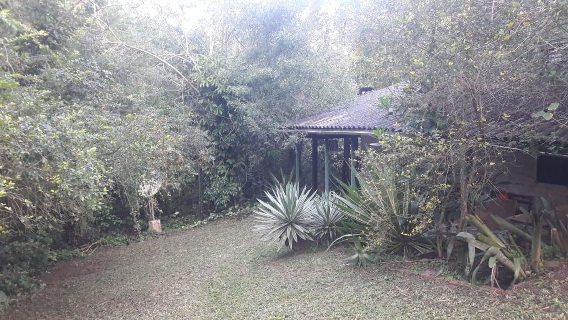 Foto 1 do imóvel
